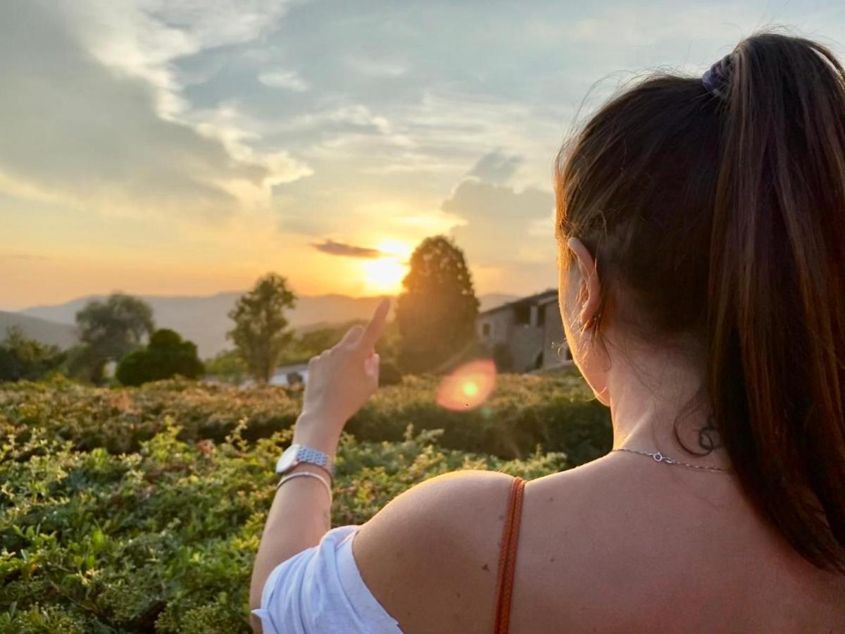 Agriturismo Le Case Assisi Exteriér fotografie