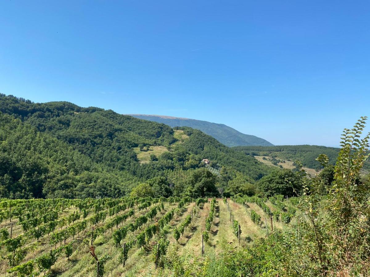 Agriturismo Le Case Assisi Exteriér fotografie