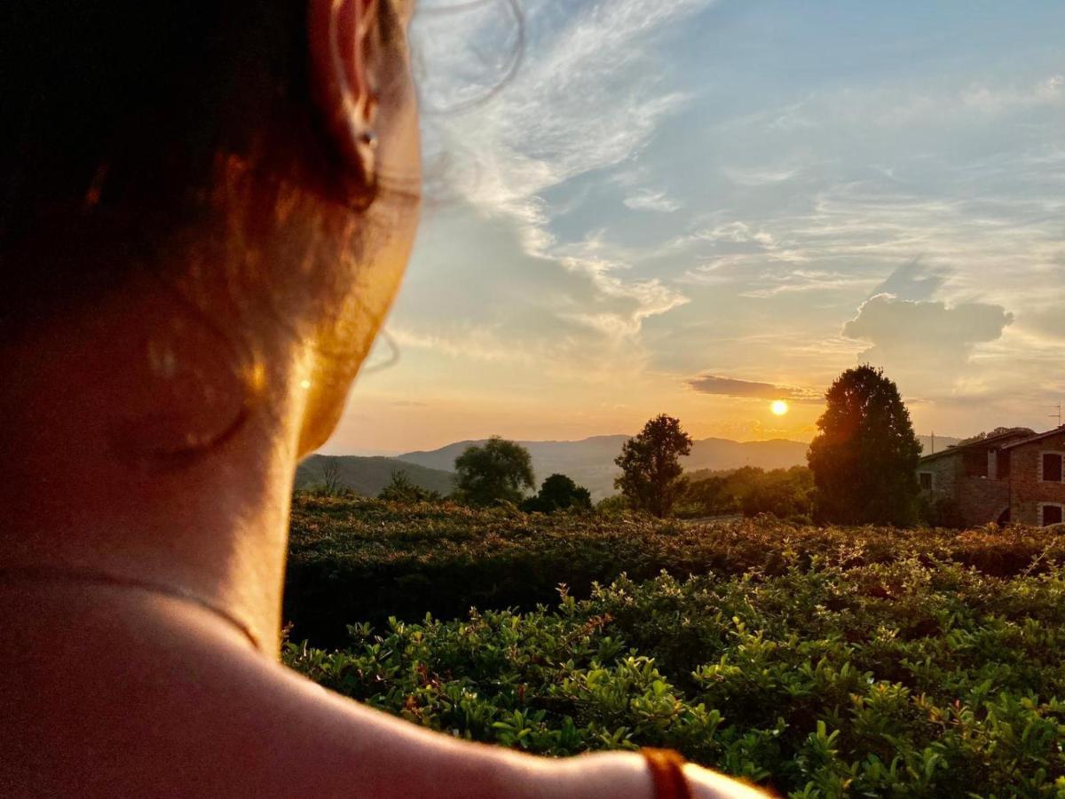 Agriturismo Le Case Assisi Exteriér fotografie
