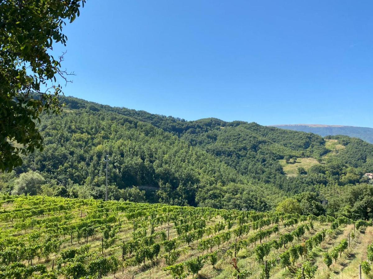 Agriturismo Le Case Assisi Exteriér fotografie