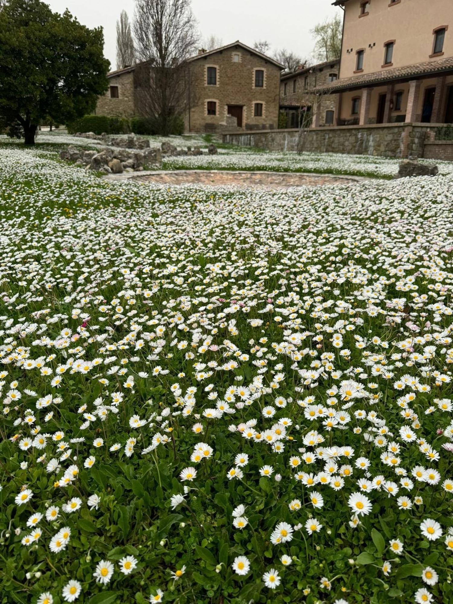 Agriturismo Le Case Assisi Exteriér fotografie