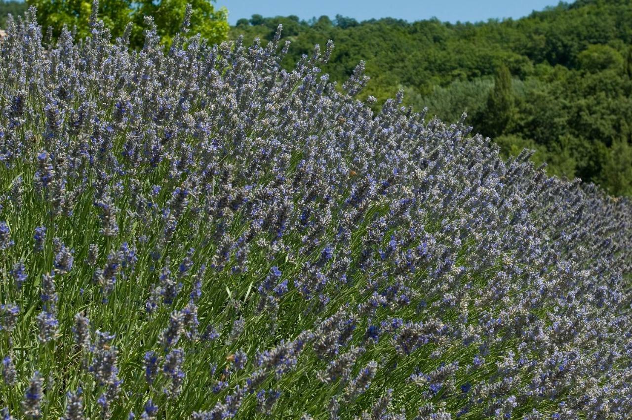 Agriturismo Le Case Assisi Exteriér fotografie